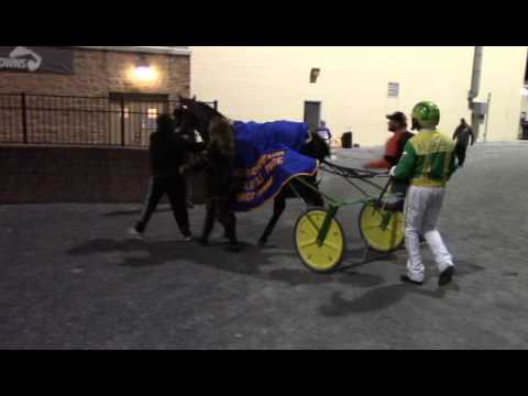 Matron 3 Year Olds at Dover Downs (#942 - November 20, 2016)