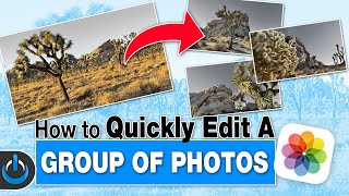 How to Quickly Edit A Group of Photos 📷 Apple Photos