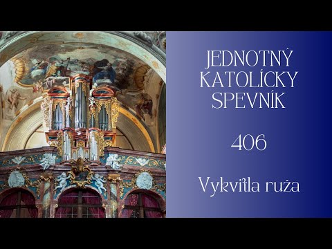 JKS 406 Vykvitla ruža