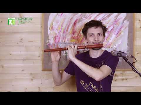 Buy Irish Flute - harmonyflute.com