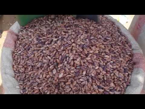 Nsima, culinary tradition of Malawi