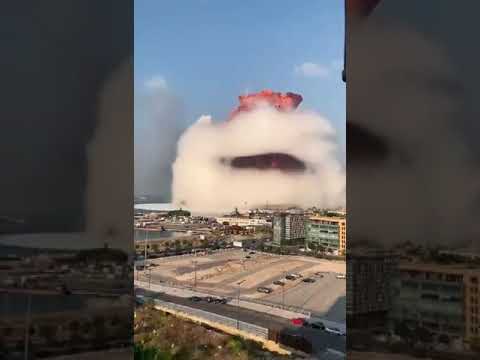 you see big girl it really does go with everything.