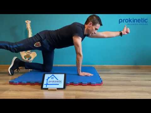 15 Minutes of Sports and Physiotherapy at Home with Alin Burileanu. "back pain"