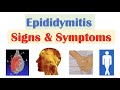 Epididymitis Scrotal Pain Signs Symptoms Why They Occur