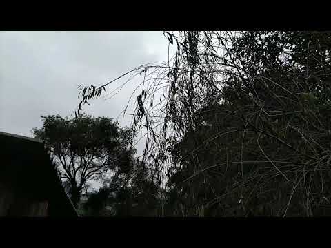 Gol ls turbo!! Voltamos com tudo 🤜🔥