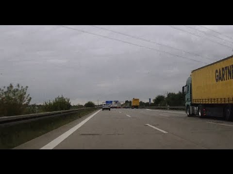 Huhn Gerda von der A4 in Dresden