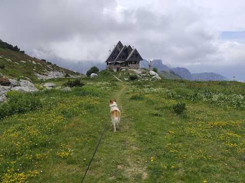 Escursione da Pian Marchisio (Roccaforte Mondovì) al rifugio Piero Garelli 17_06_2025