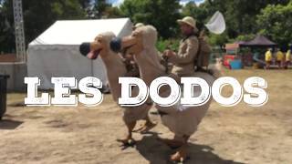 Afozic, Aperçu Vidéo