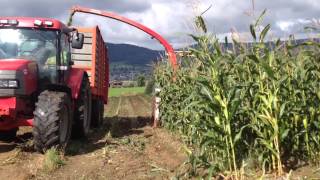 preview picture of video 'Rothenagro Fendt 826 kemper c3000 ensilage 2014 berlincourt'