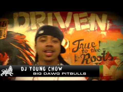 DJ Young Chow - Riddim Driven