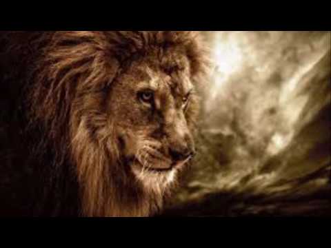 Slaze - Geboren um zu kämpfen