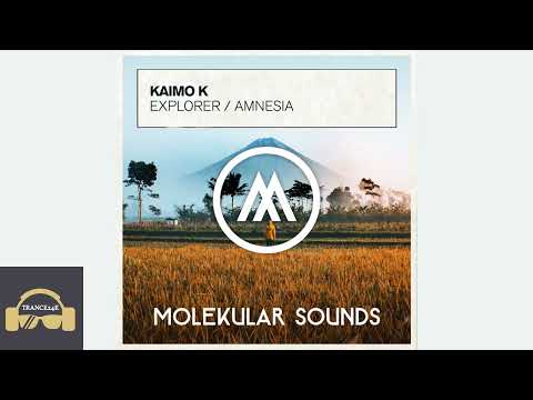 Kaimo_k-amnesia - 7A - 139.99