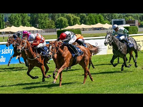 ŽIVĚ 🔴 | dostihy Chuchle Arena Praha – 17. 9. 2023