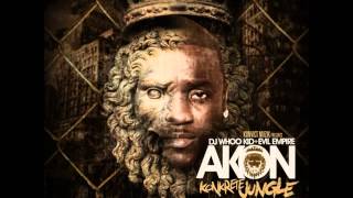 Akon - Konkrete Jungle - 12 - Get By