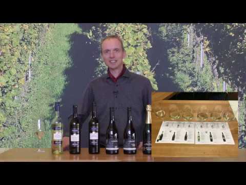 Online Weinprobe 1 Video6 Verkostung in Reihe und Unterlegblatt