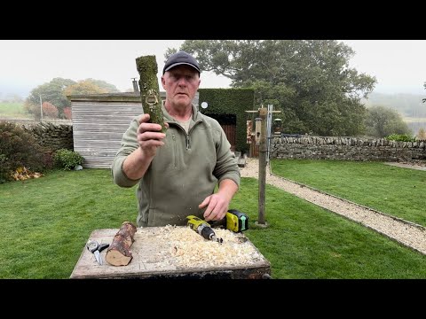 How to make a suet log bird feeder from fallen wood 