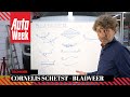 Bladveer – Cornelis schetst