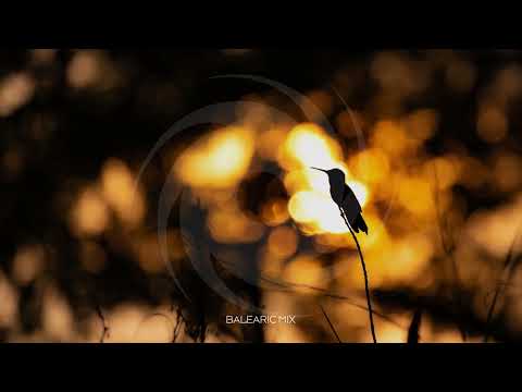 Tastexperience featuring Sara Lones   Closer Balearic Mix