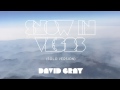 David Gray - Snow In Vegas (Solo Version)