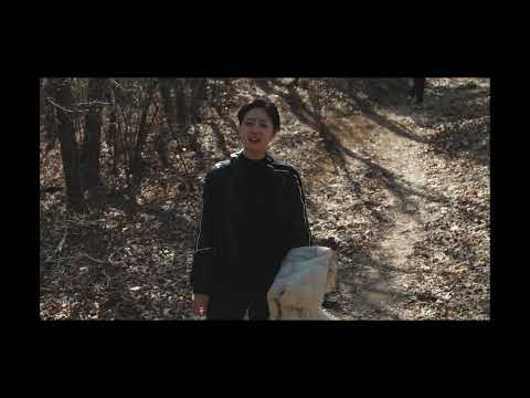 비디오 20