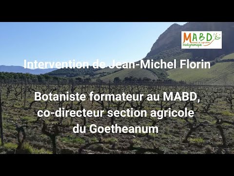 , title : 'L’achillée et la camomille, des plantes pour soigner la vigne - Jean-Michel Florin'