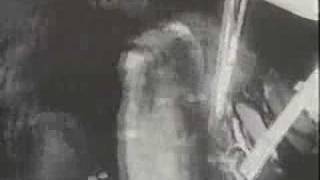 Maggie's Dream: Love & Tears