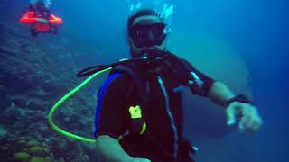preview picture of video 'Bonaire, o paraíso do mergulhador recreativo'