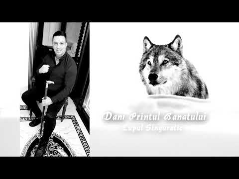 Dani Printul Banatului - Lupul Singuratic (Official Audio)