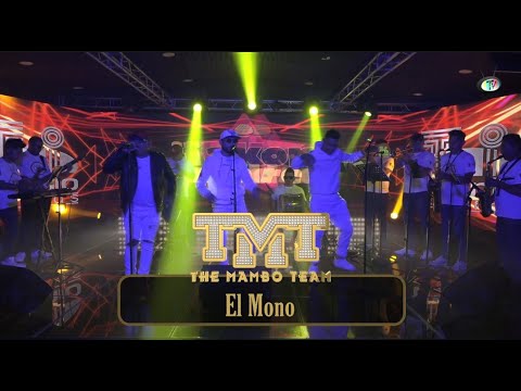 TMT The Mambo Team - El Mono