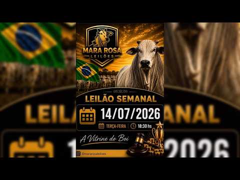 MARA ROSA LEILÕES - GOIÁS - LEILÃO DE GADO DE CORTE 14/07/2026