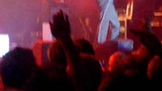 The hives diabolic scheme