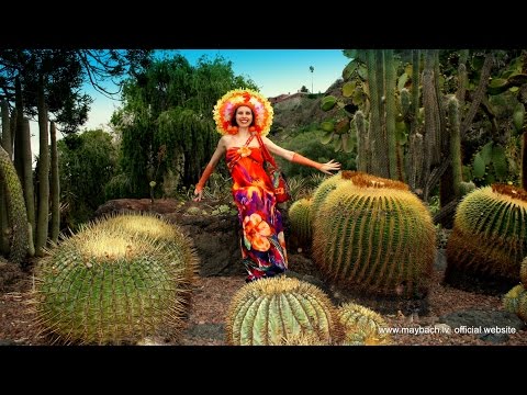 GRAN CANARIA COM AVA MARIA: JARDIN BOTANICO VIERA Y CLAVIJO.