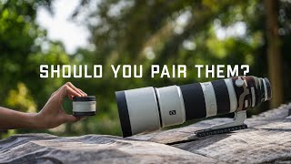 Video thumbnail for Pairing The 2x Teleconverter with the Sony 200-600mm G Lens | User Experience Review by Bernard Lau