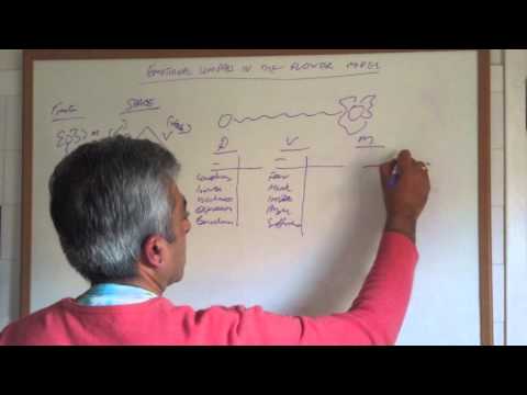 Emotional Compass in the Flower Model