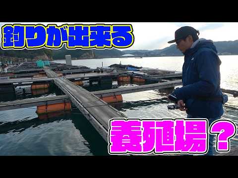 youtube-ガジェ・趣味記事2026/03/10 15:43:05