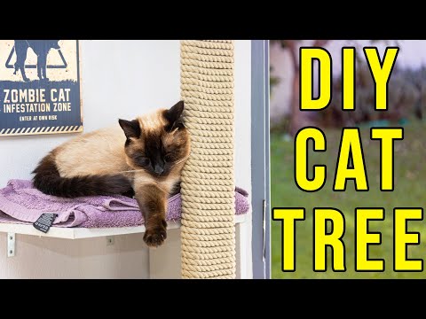 How to Build a Cat Tree For Your Siamese Cat