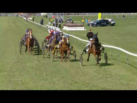 Fehraltorf/02.04.2018/Preis Ryffel AG - Kastanie - Kupschina - Rolli Muller