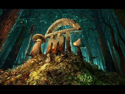 Infected Mushroom vs. Skazi vs. Astrix - Psycotyc Micro