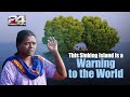 Mangrove S Voice Documentary Munroe Island 24 International