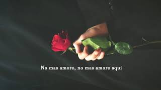 Willie Nelson &amp; Alison Krauss - No Mas Amor (Lyrics)