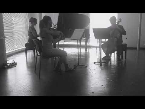 A. Dvorak: Trio op. 90 Dumky. Andante moderato
