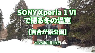 2025年1月15日 Xperia 1 VI で撮る冬の温室【百合が原公園】