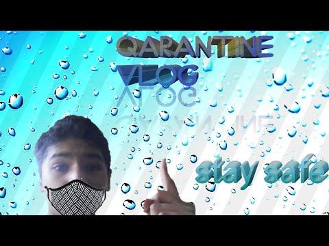 Quarantine vlog ( part 3 )