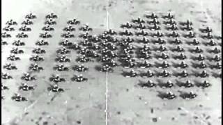 Shit and Shine - Danielle