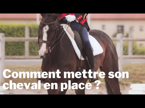 Mettre son cheval en place, dans la décontraction et la légèreté ?