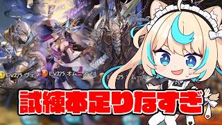 連休は試練本集め【グランブルーファンタジー】