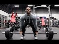 Free Back-N-Bi Program/ Getting Back into the Deadlift.