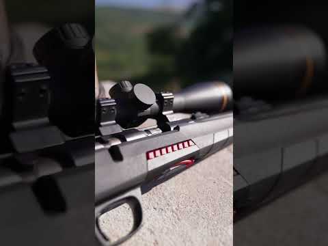 Winchester Wildcat Xpert