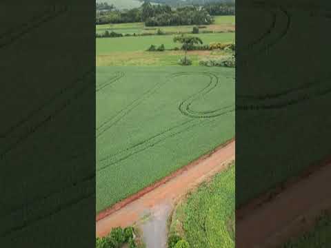 Torre 🗼 de 40 metros em Imbituva PR 🧗🏻🧗🏻‍♀️🗼🗼 #telecomunicaciones #telecomando #vistaincrivel