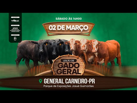 Leilão de Gado Geral, GENERAL CARNEIRO - PR 02/03/2024 14:00h